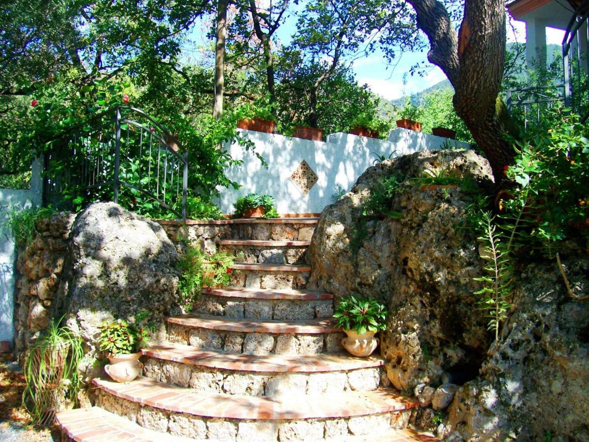 B&B La Casa Del Gelso Acquafredda Exterior foto